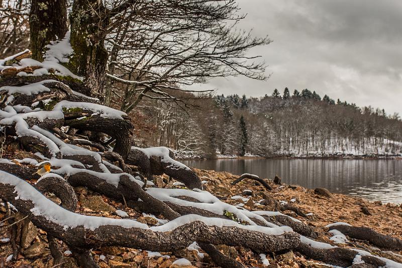 2018_02_10_Lac de Chaumecon (0036).jpg - lac de Chaumeçon (février 2018)